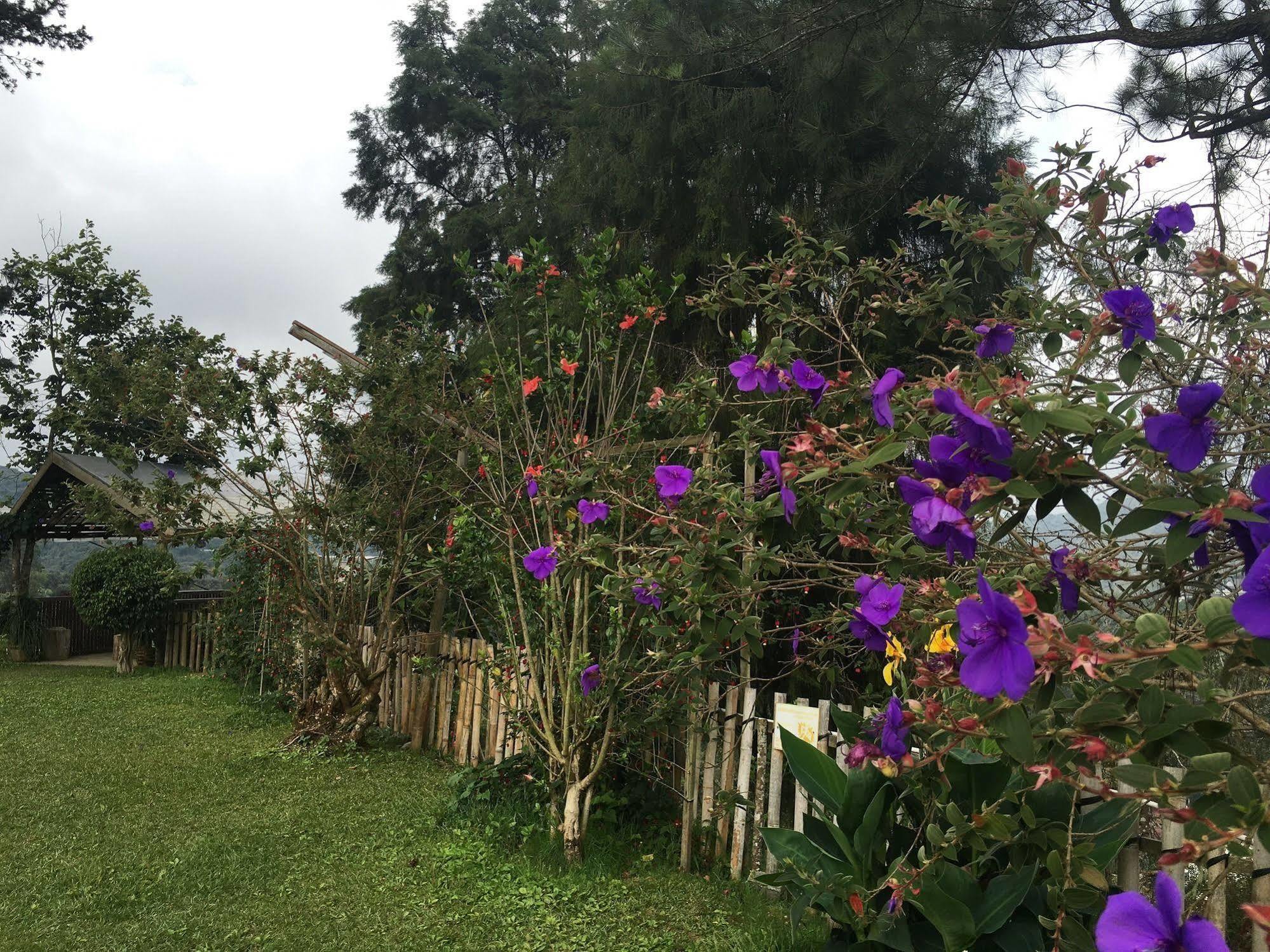 Jim Thompson Cottage Cameron Highlands Esterno foto